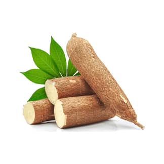 CASSAVA