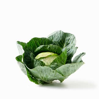 CABBAGE