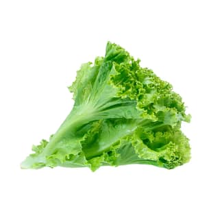 LETTUCE